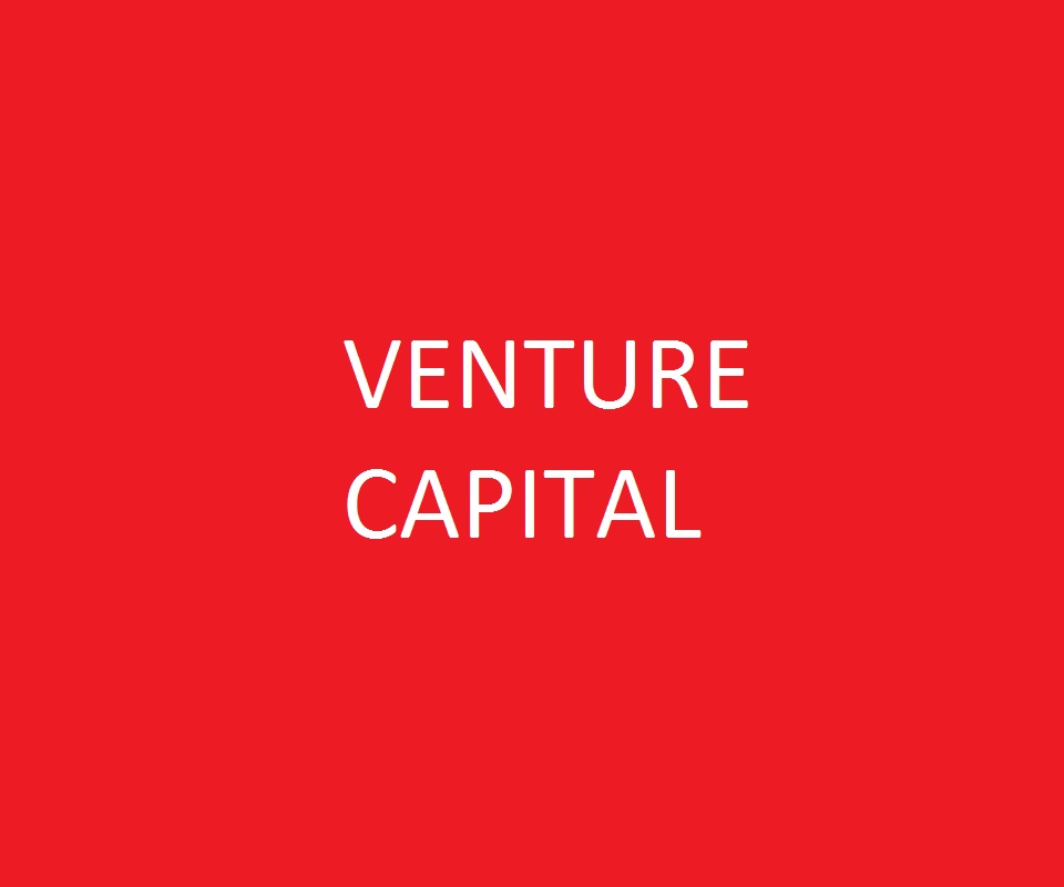Valuation and transaction advice for companies looking to raise venture capital financing in Australia and the US.