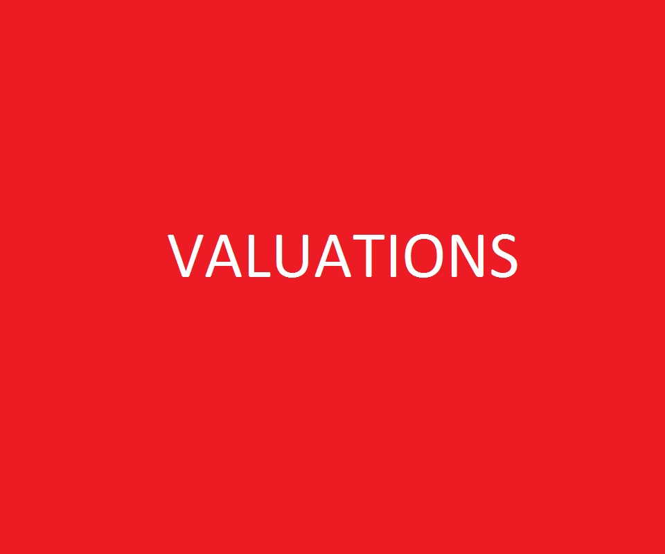 Example: Author of business valuation section of the ATO's Market valuation for tax purposes guide.